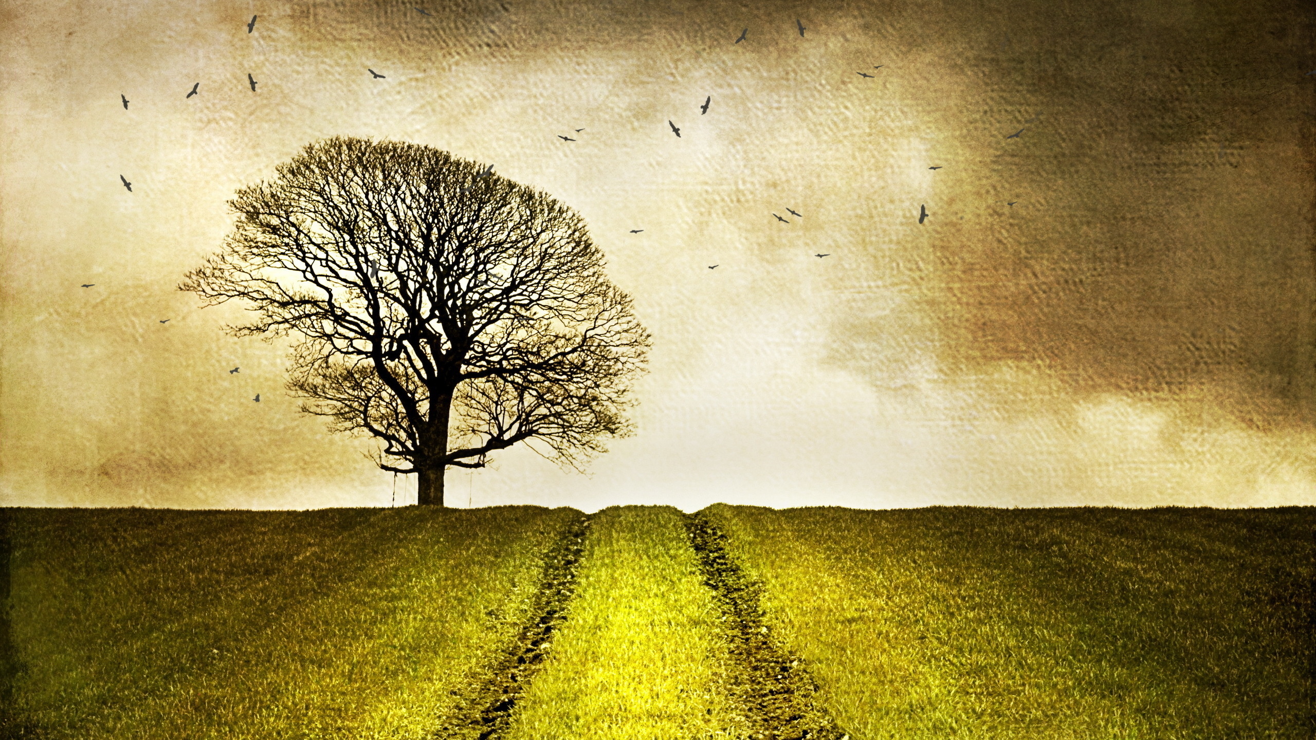 пейзаж, пейзаж