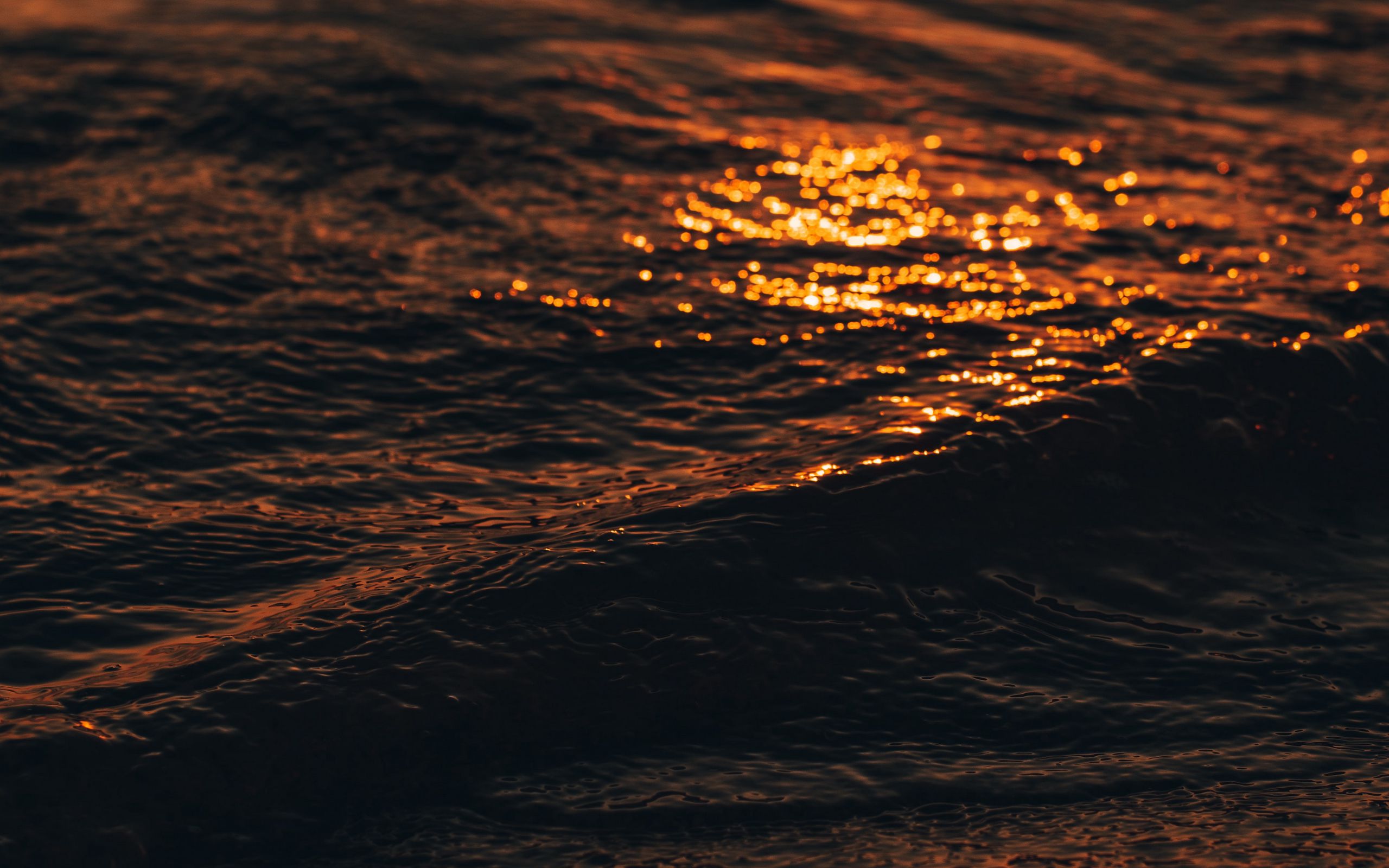 зац, вода, предварительный просмотр