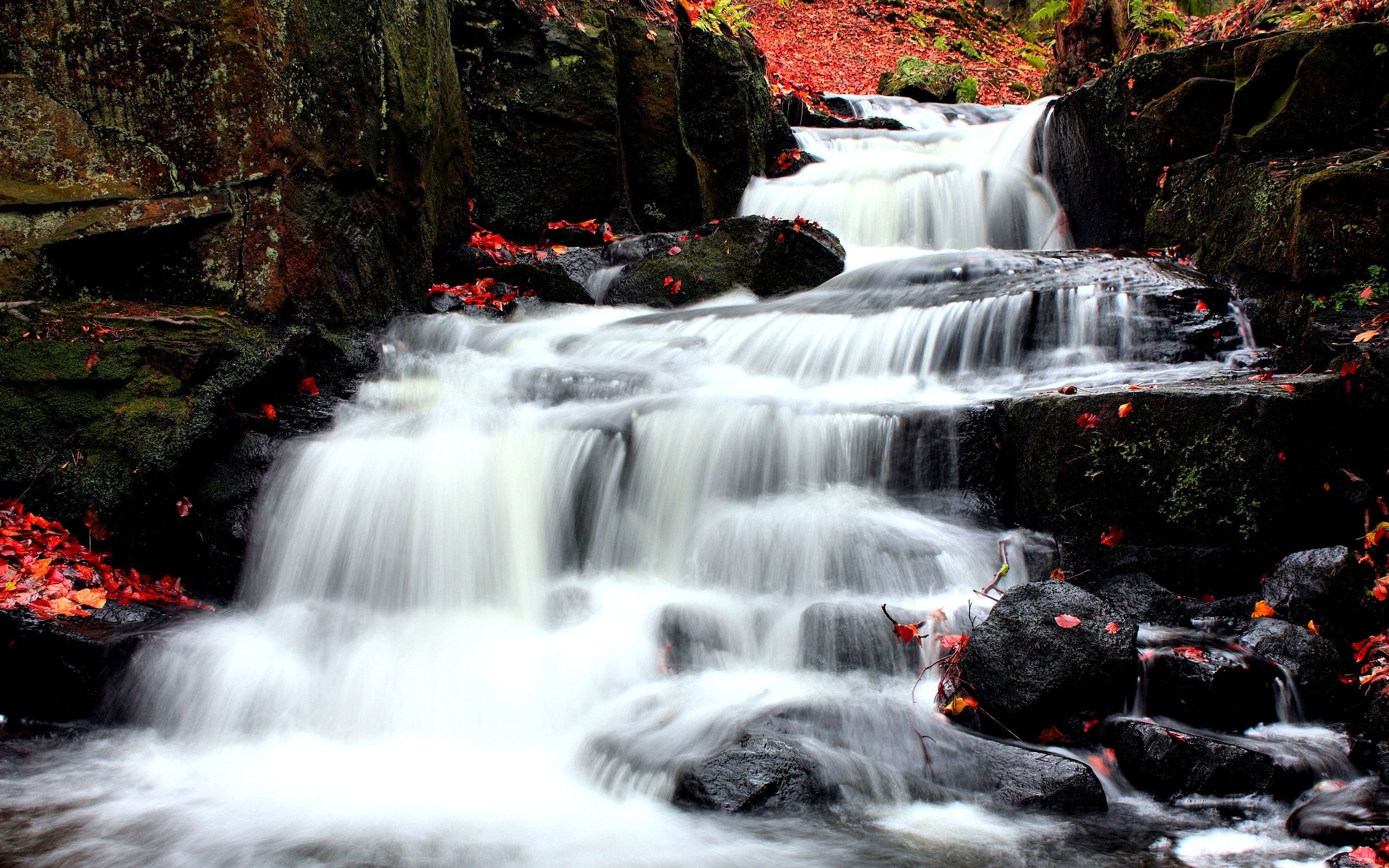 настольный, настенный, iphone