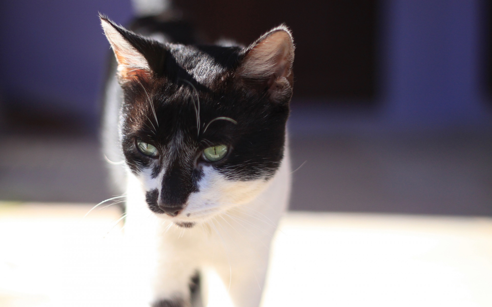 100000000000000000000000000