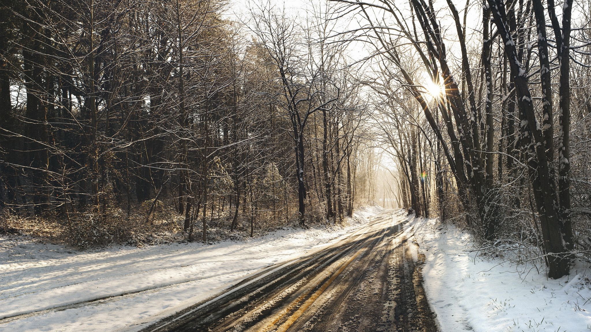 Дорога зима лес снег загрузить