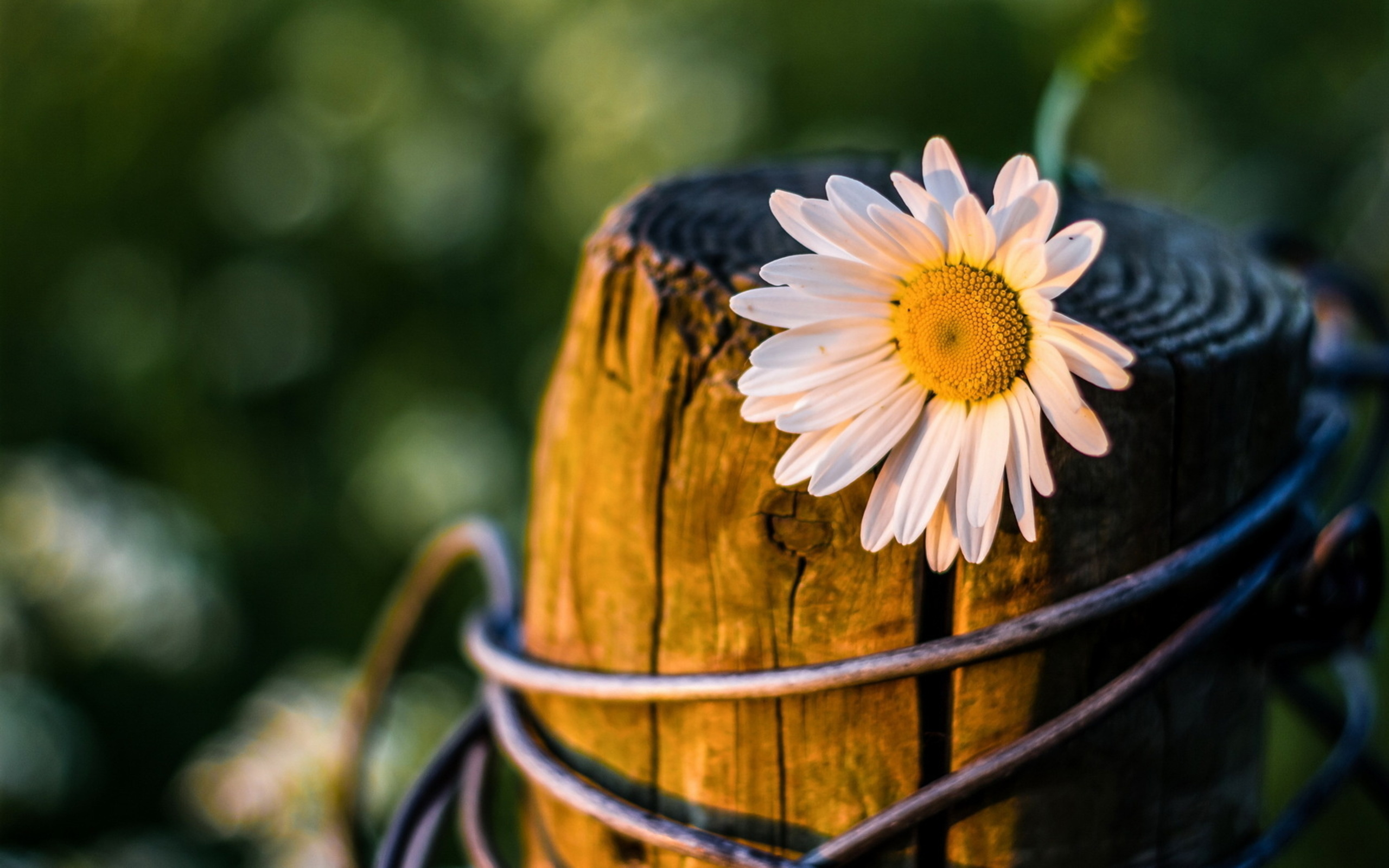 facebook, cover, covers