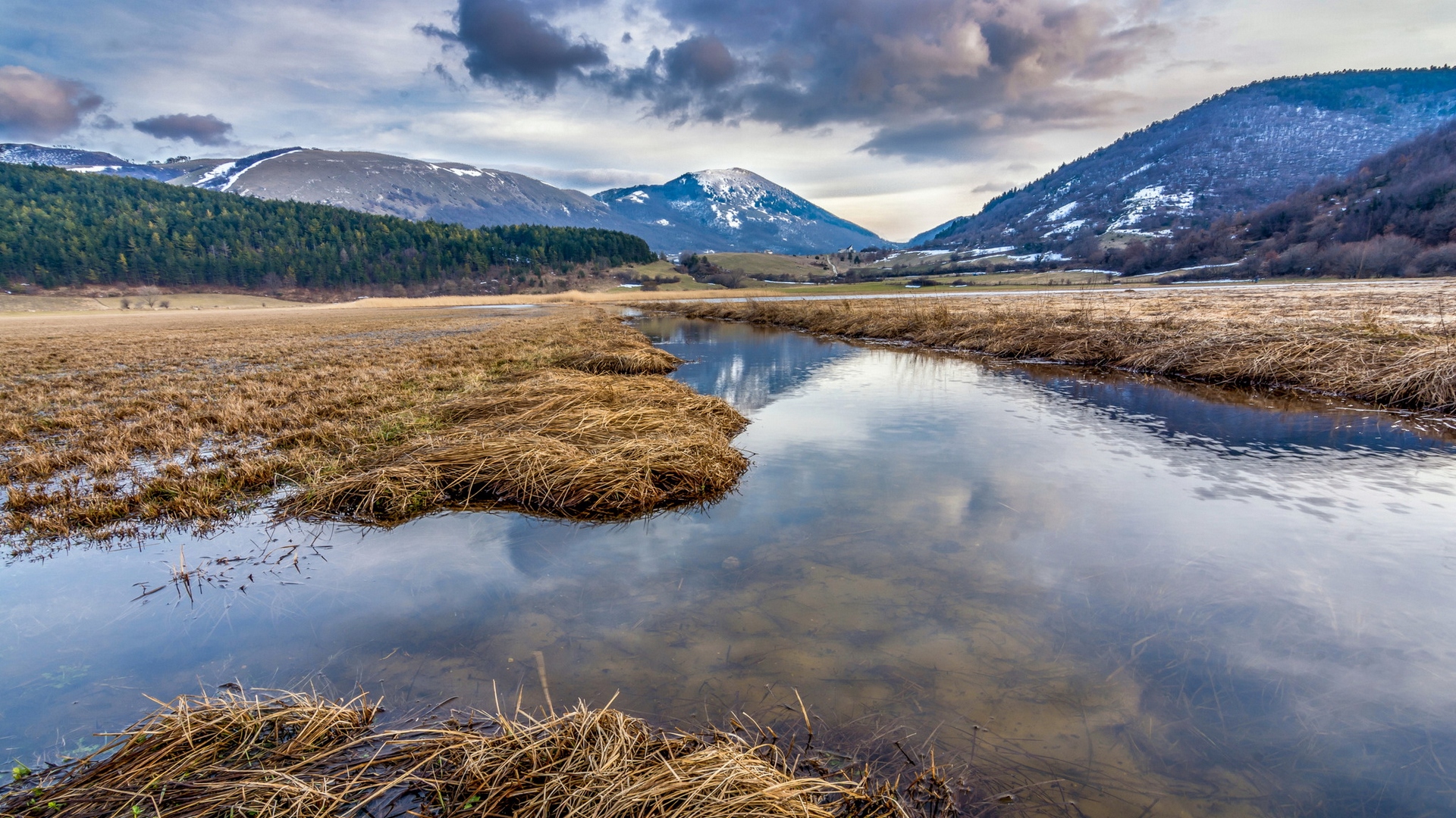 колледж, влажная, сообщество