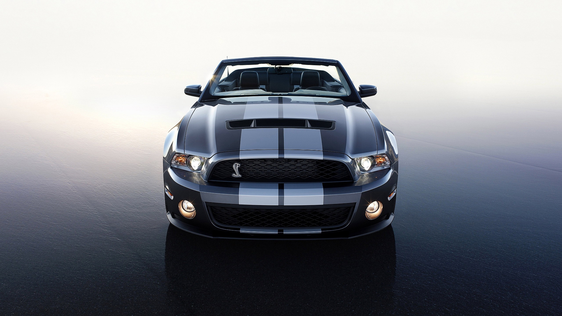 mustang, shelby, ford