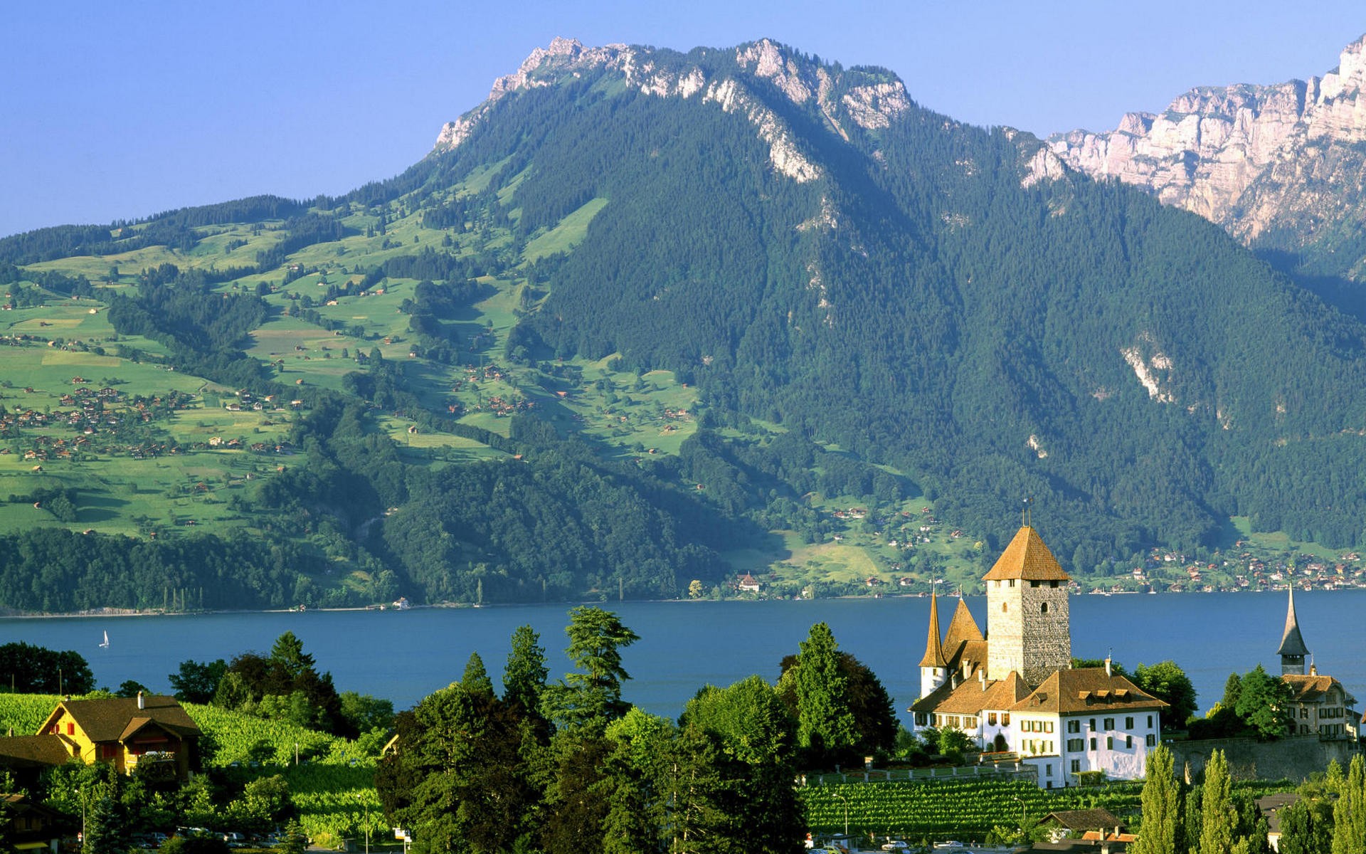 swisss
