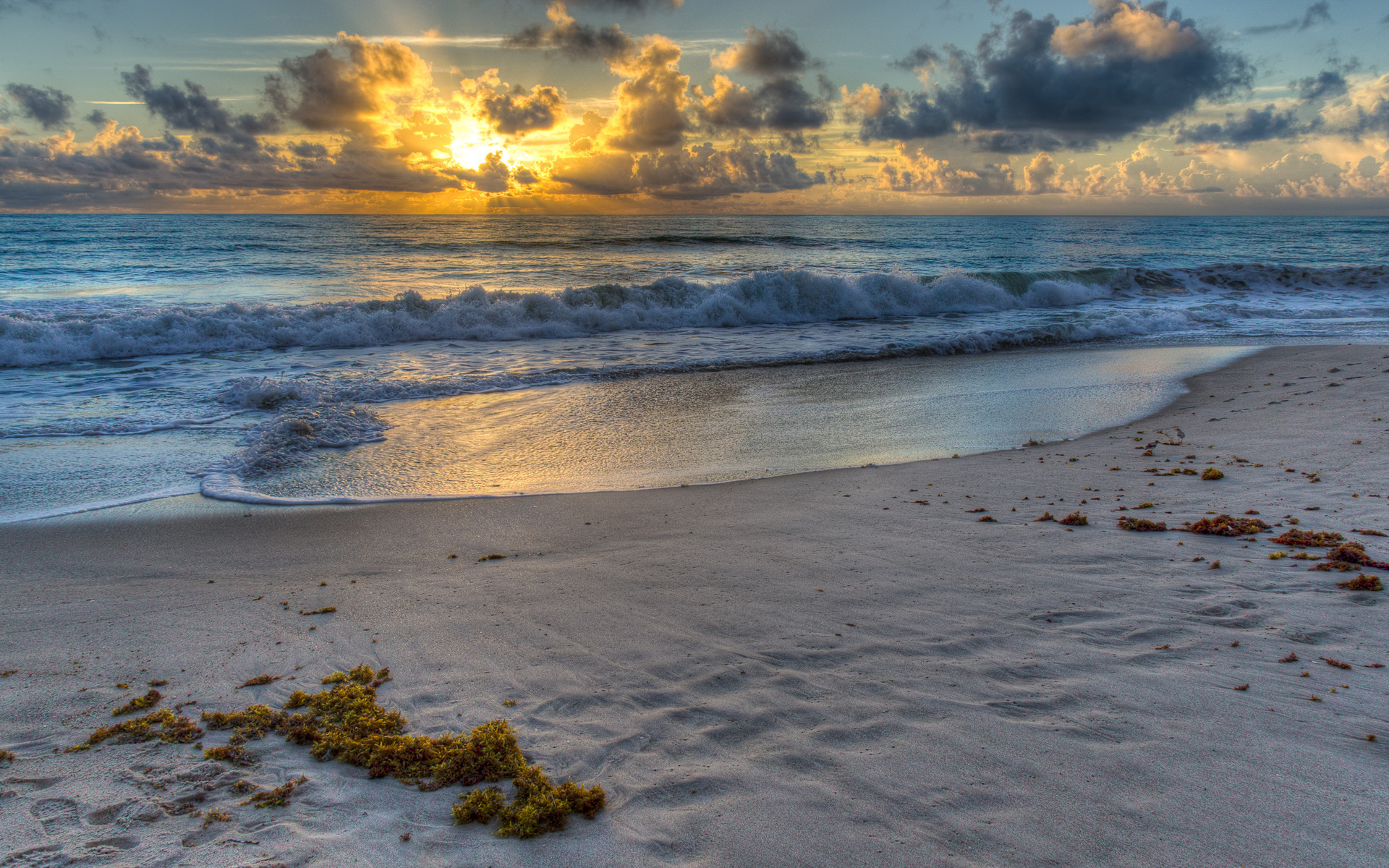 Природа 24994