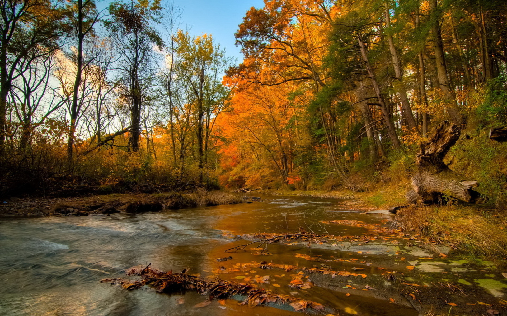 Осенние пейзажи вдоль реки бесплатно
