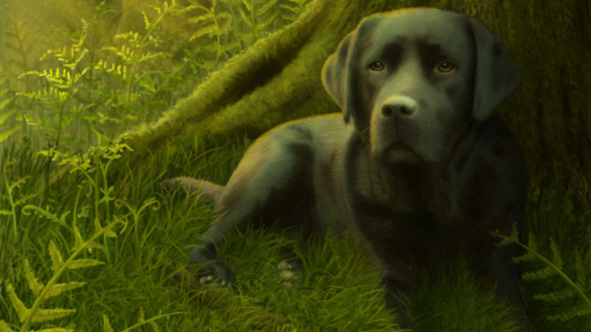 собака, Тоби