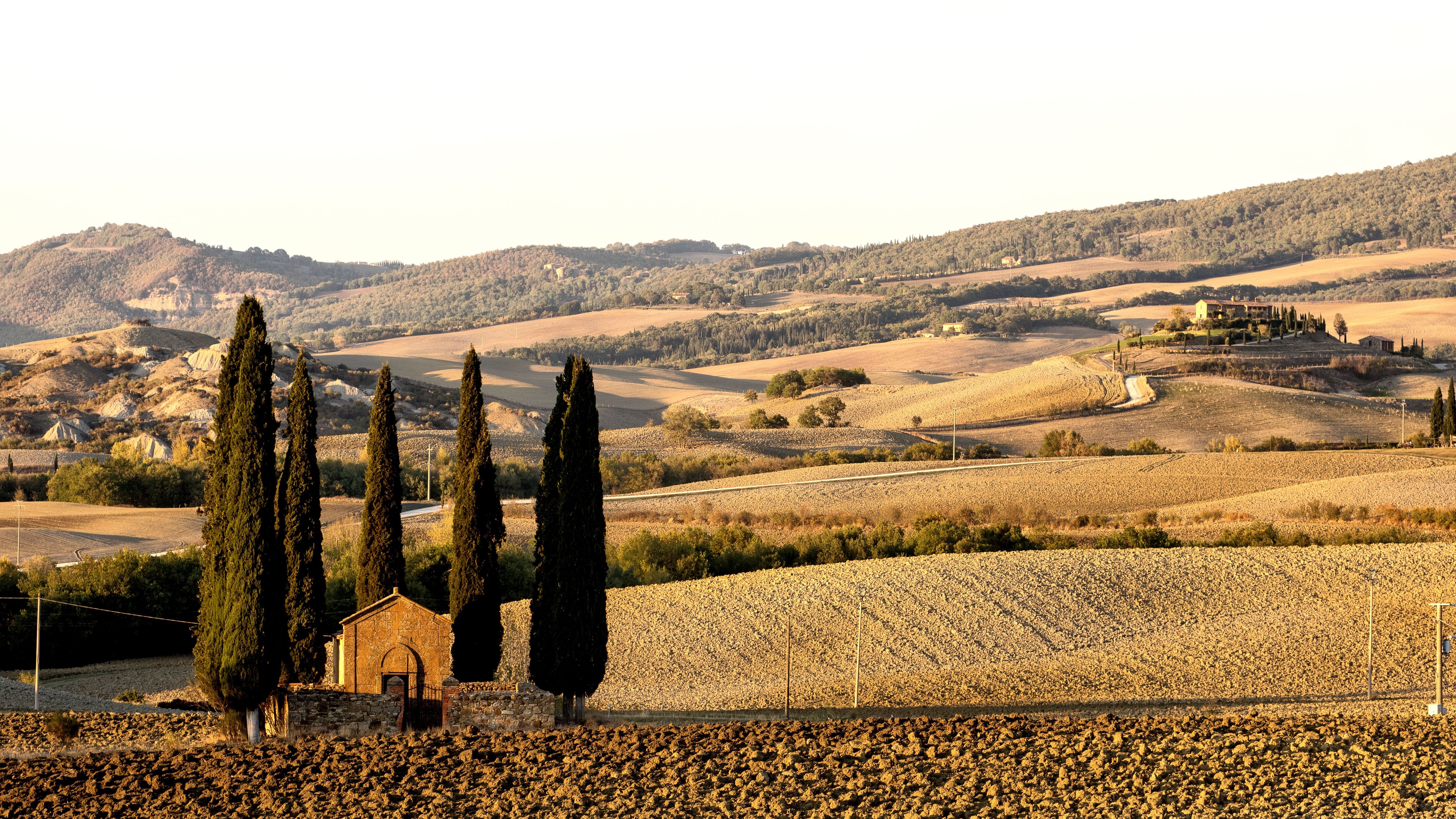 тоскана, дерево, мяч