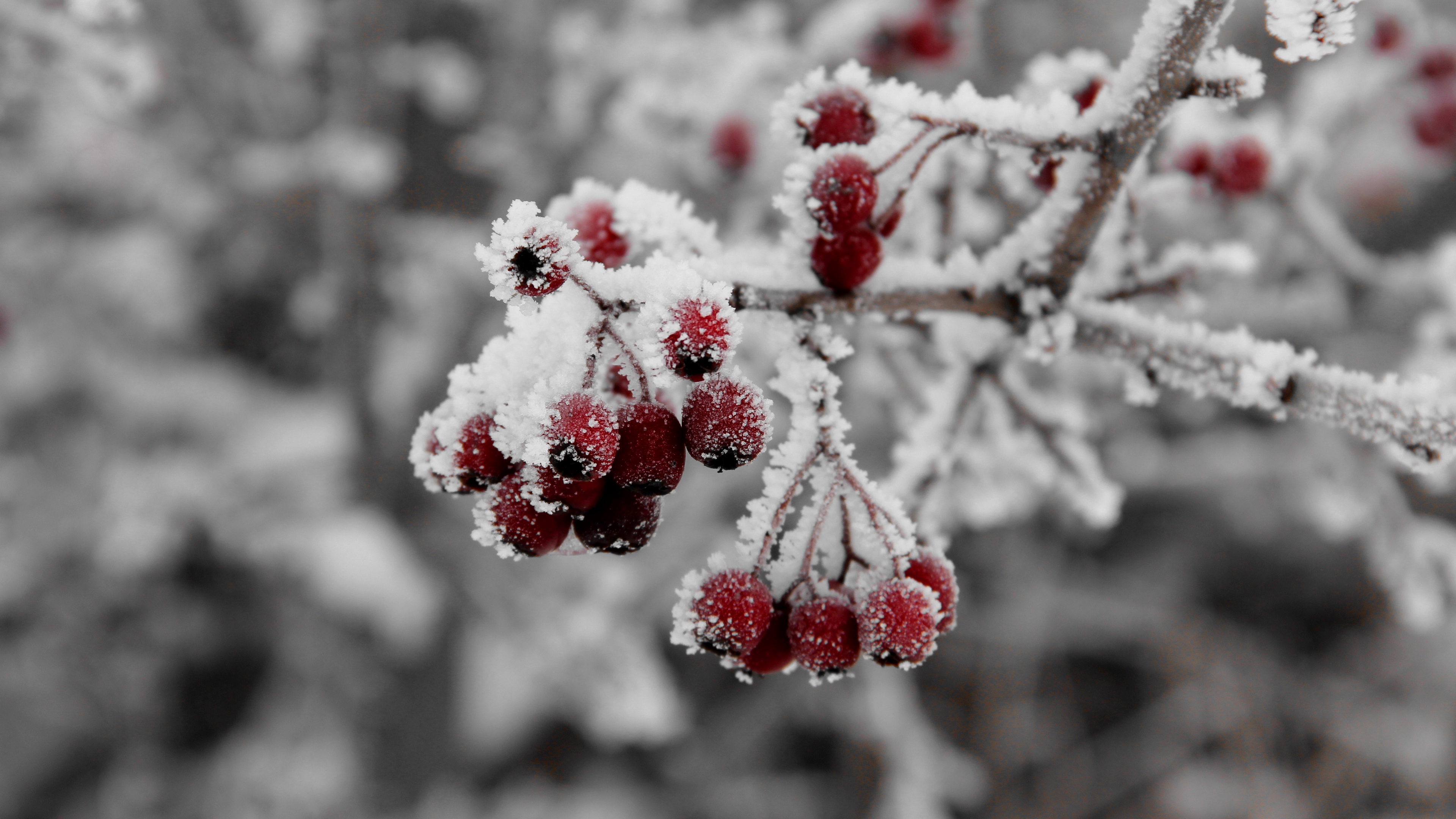 погода, казахстан, winter