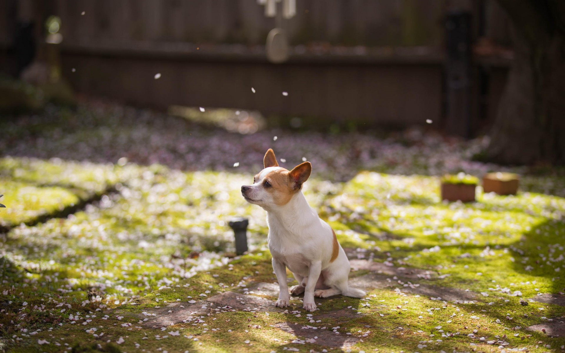 голосование, комментарии