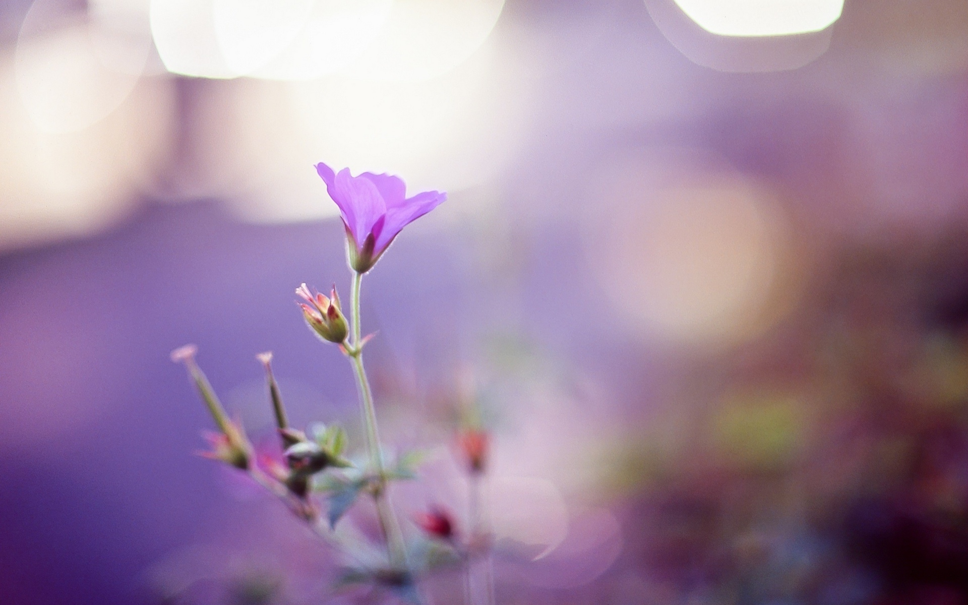 колокольчик, пластичный