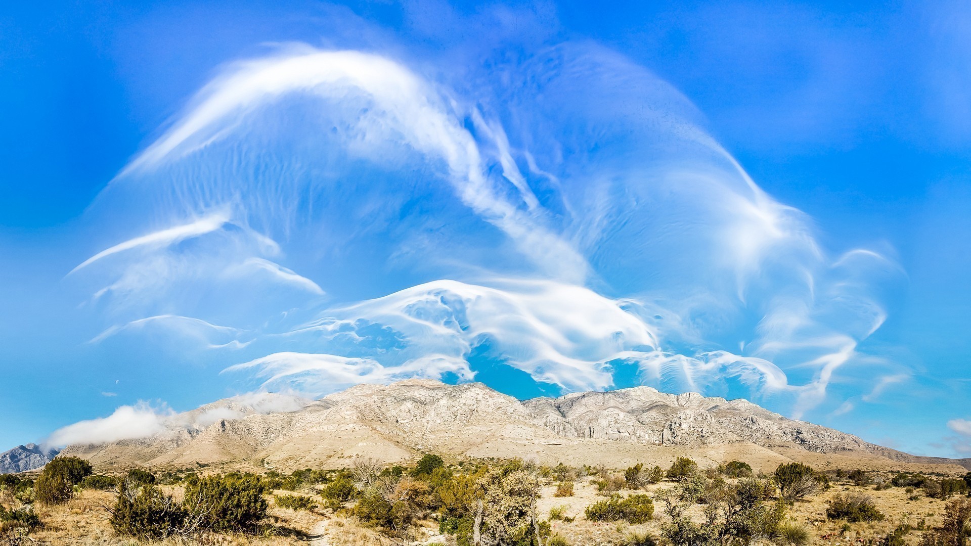 прожектор, окно, экран