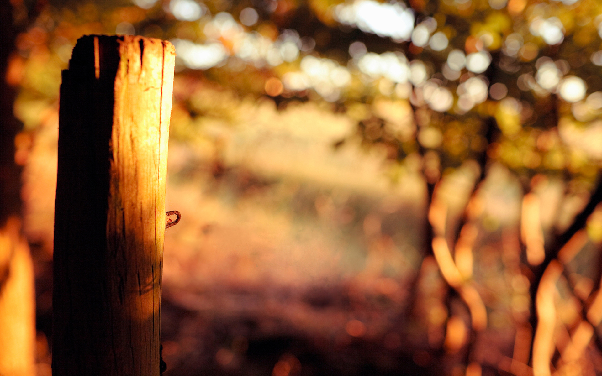 деревянная, натуральная