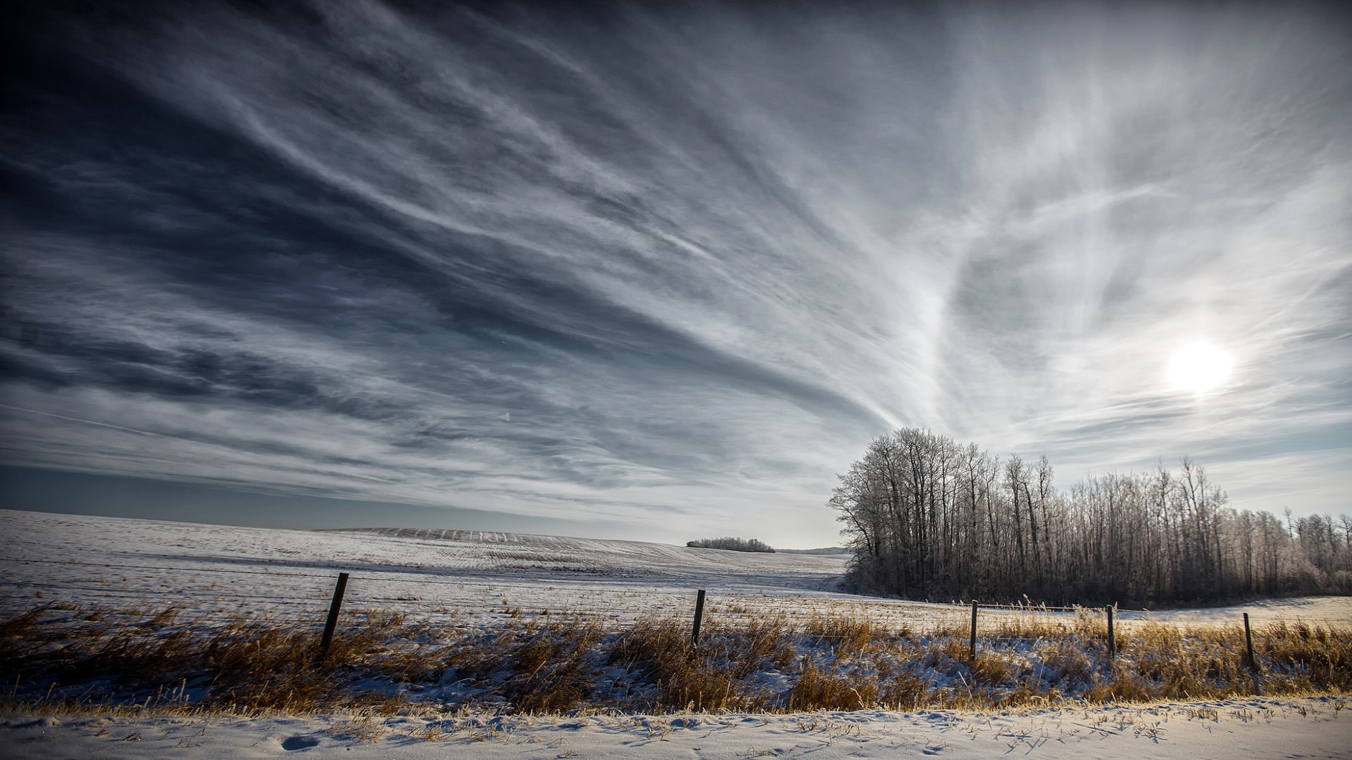 пейзаж, забор, снег