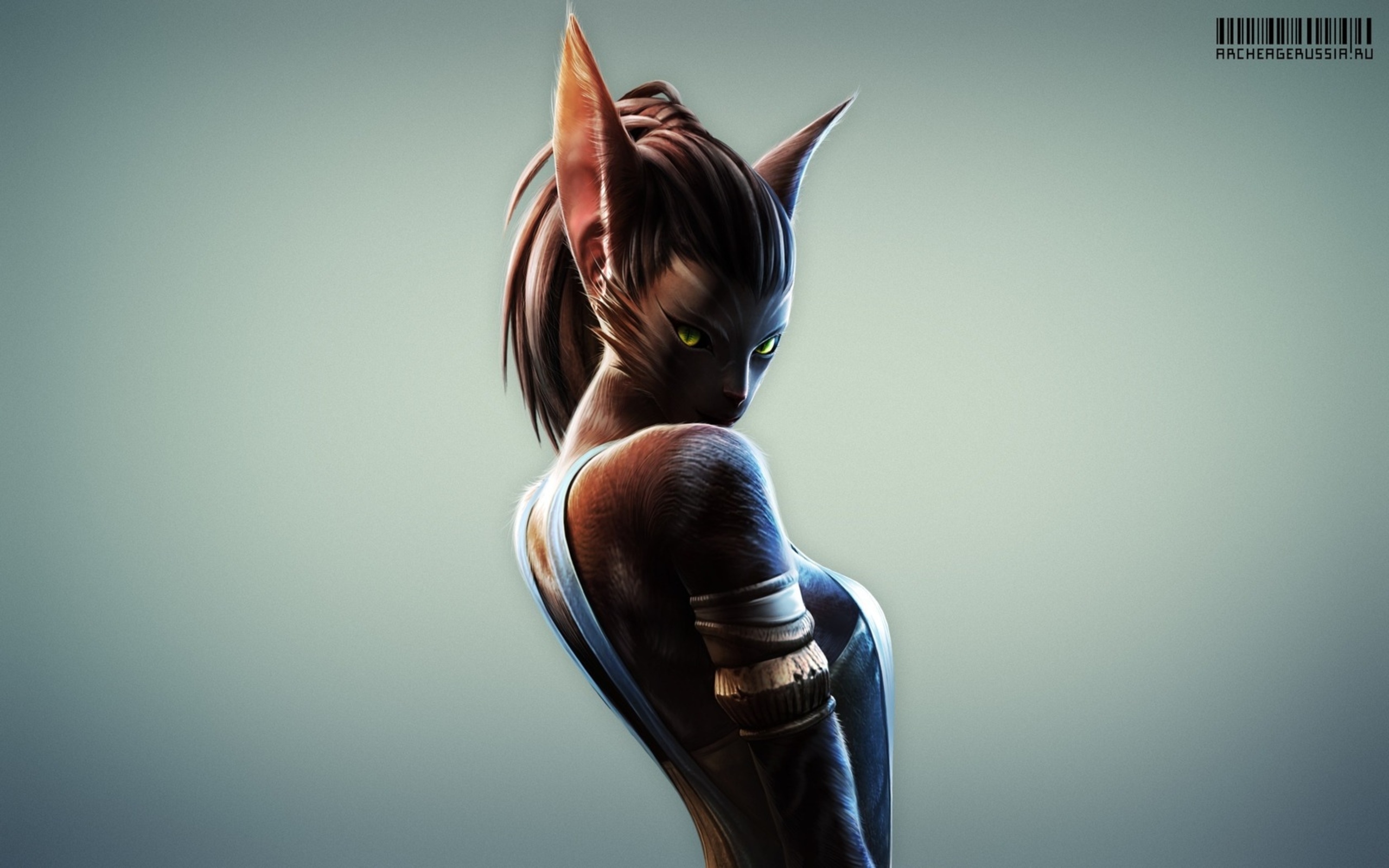 архедж, который, команда