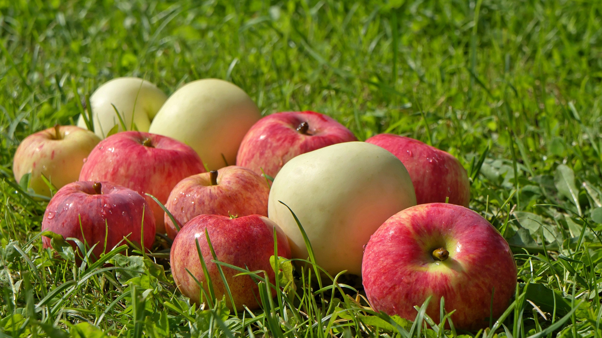 apple, summer, трава
