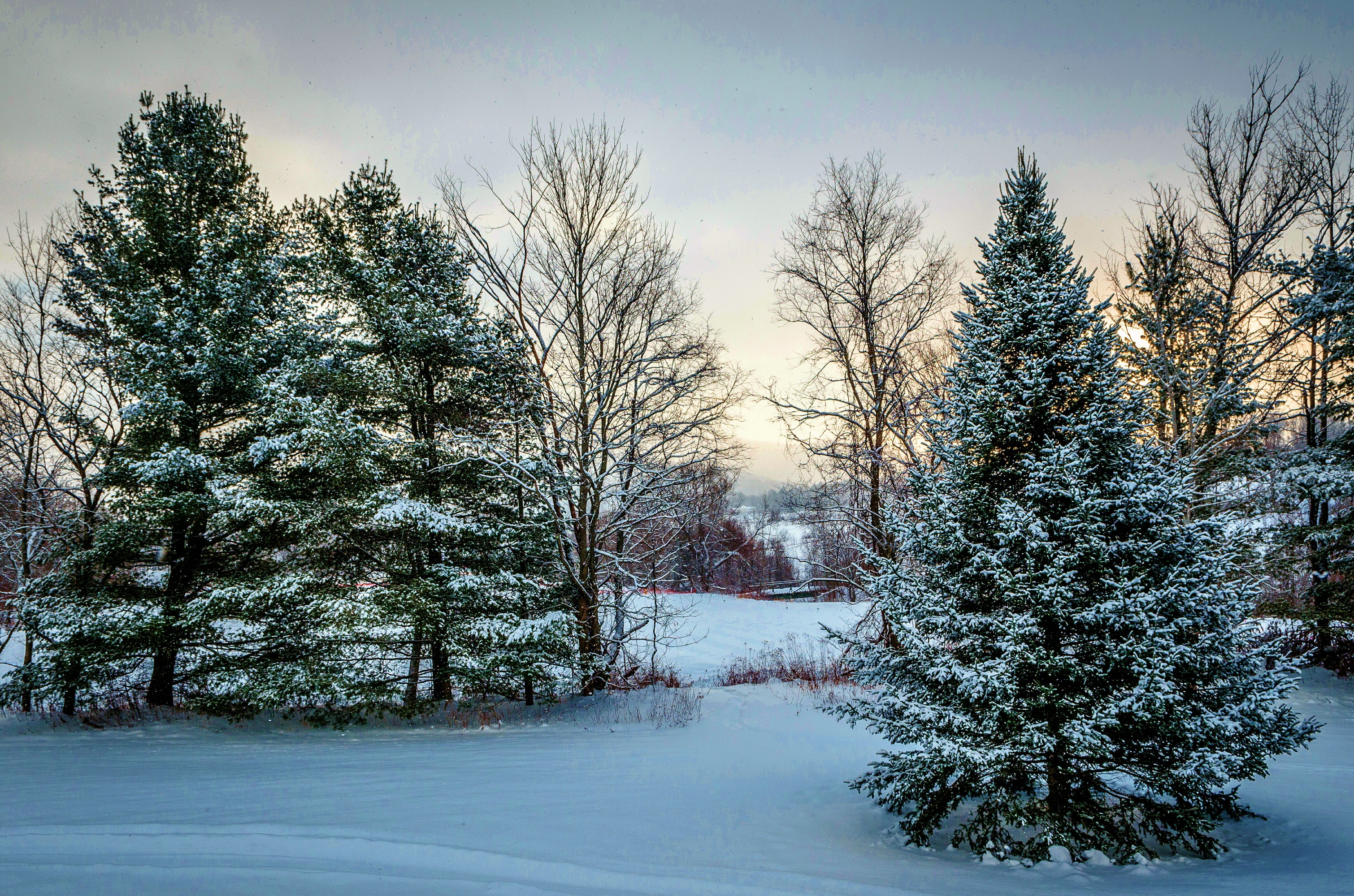 winter, pomnim, oir