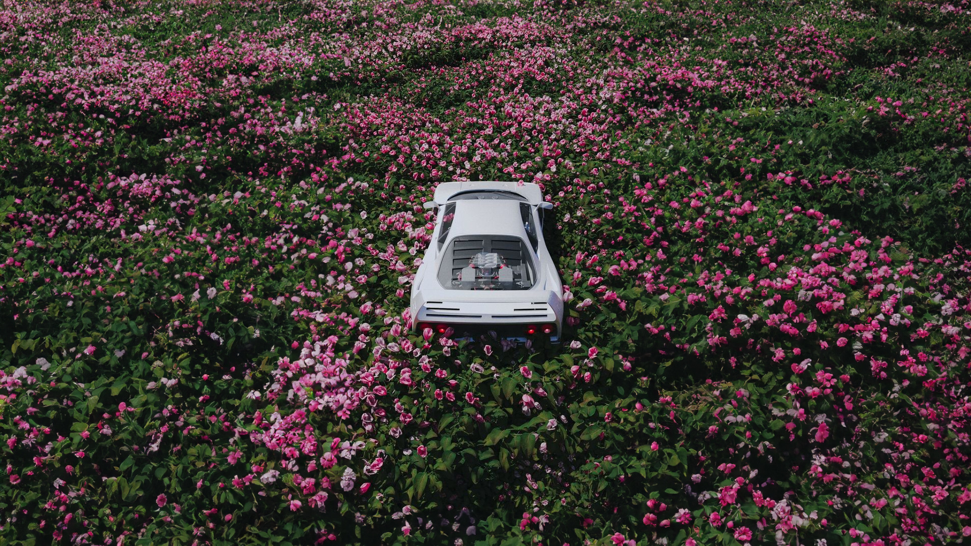 женский автомобиль в поле цветов с небесным фоном