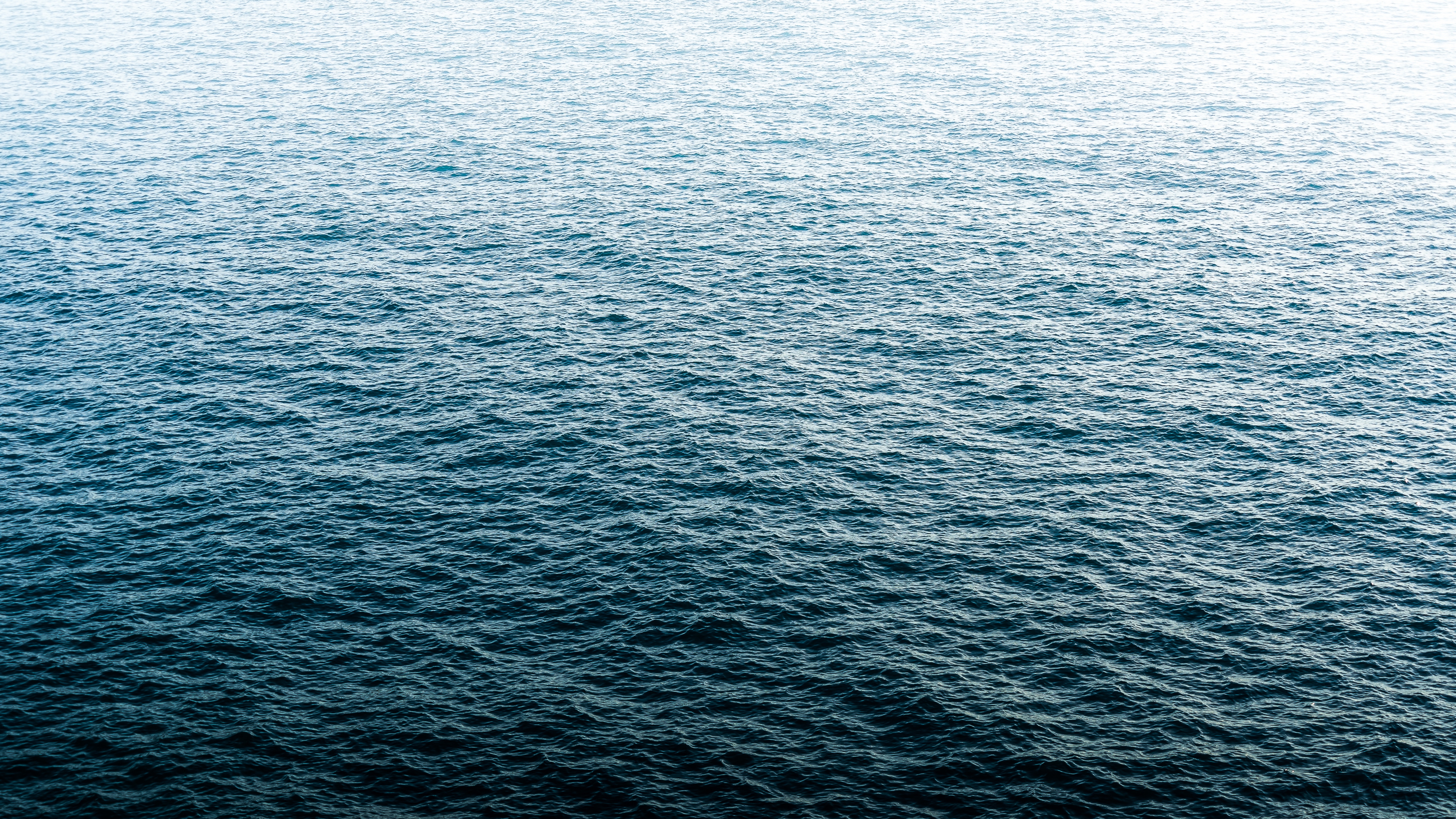 море, камджумбо