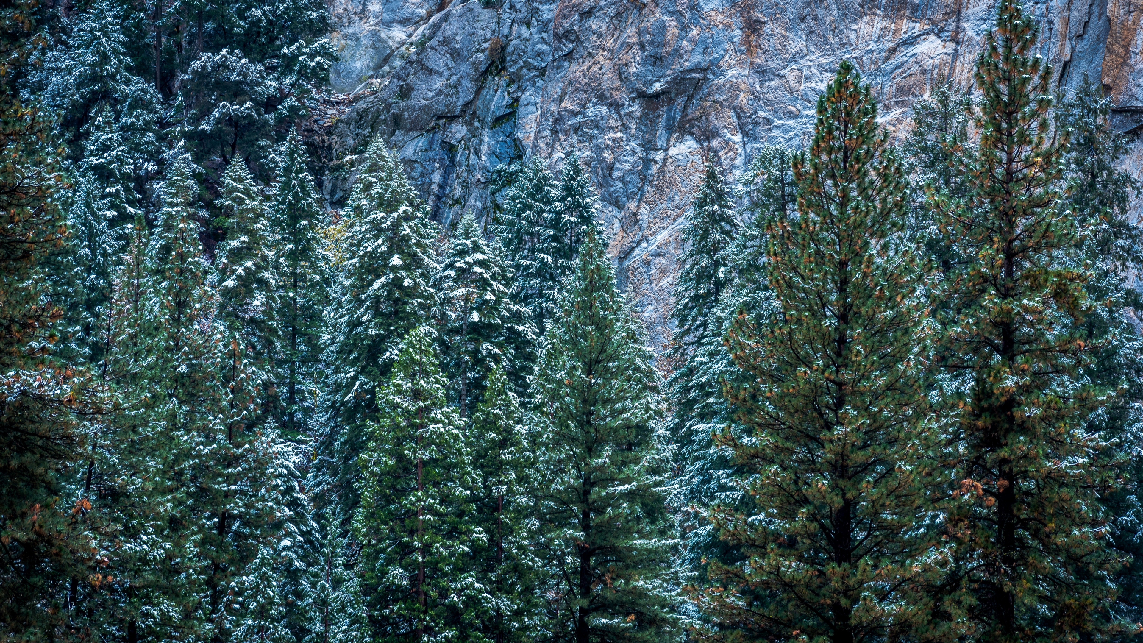 фу, фураж, саша