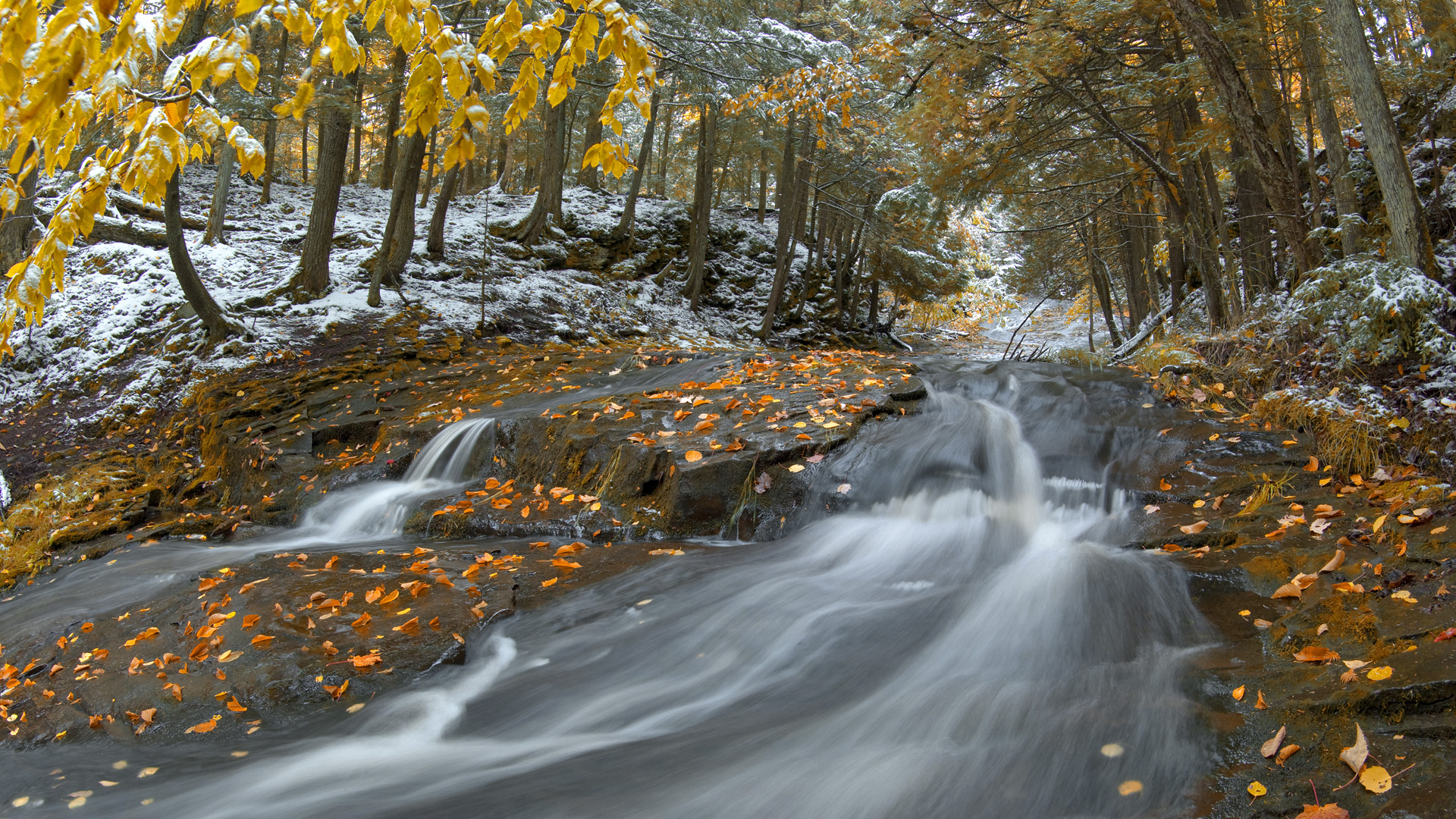 доброе утро картинки ноябрь осень норвегия водопады