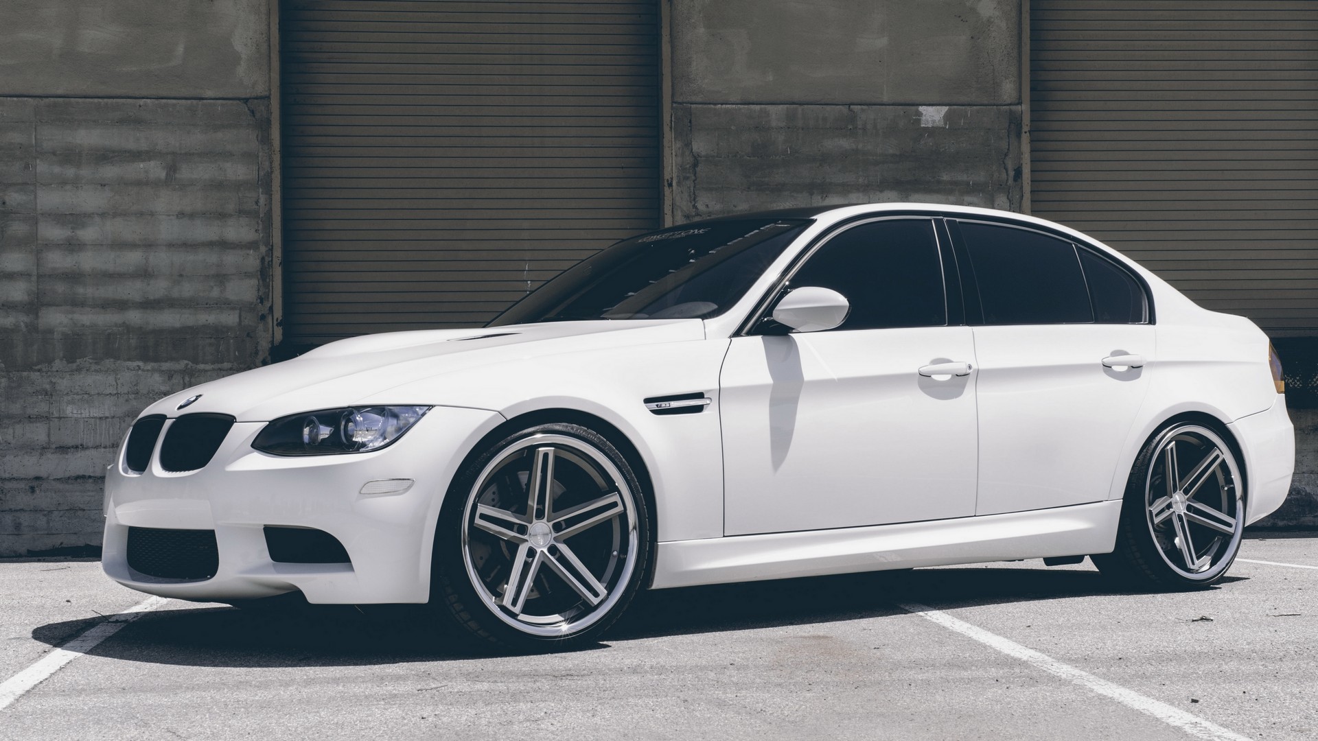 собака, супер