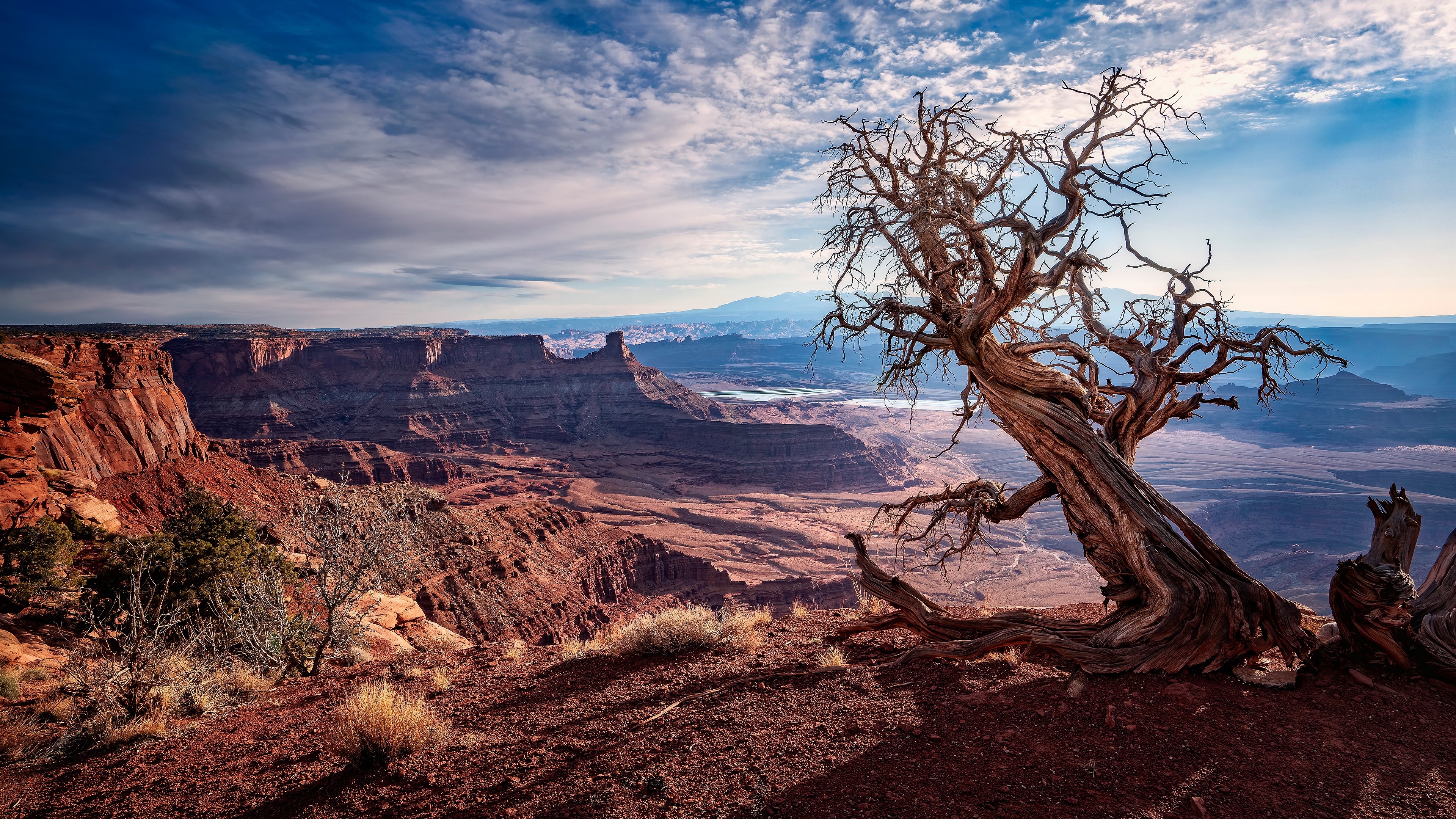 государство, парк