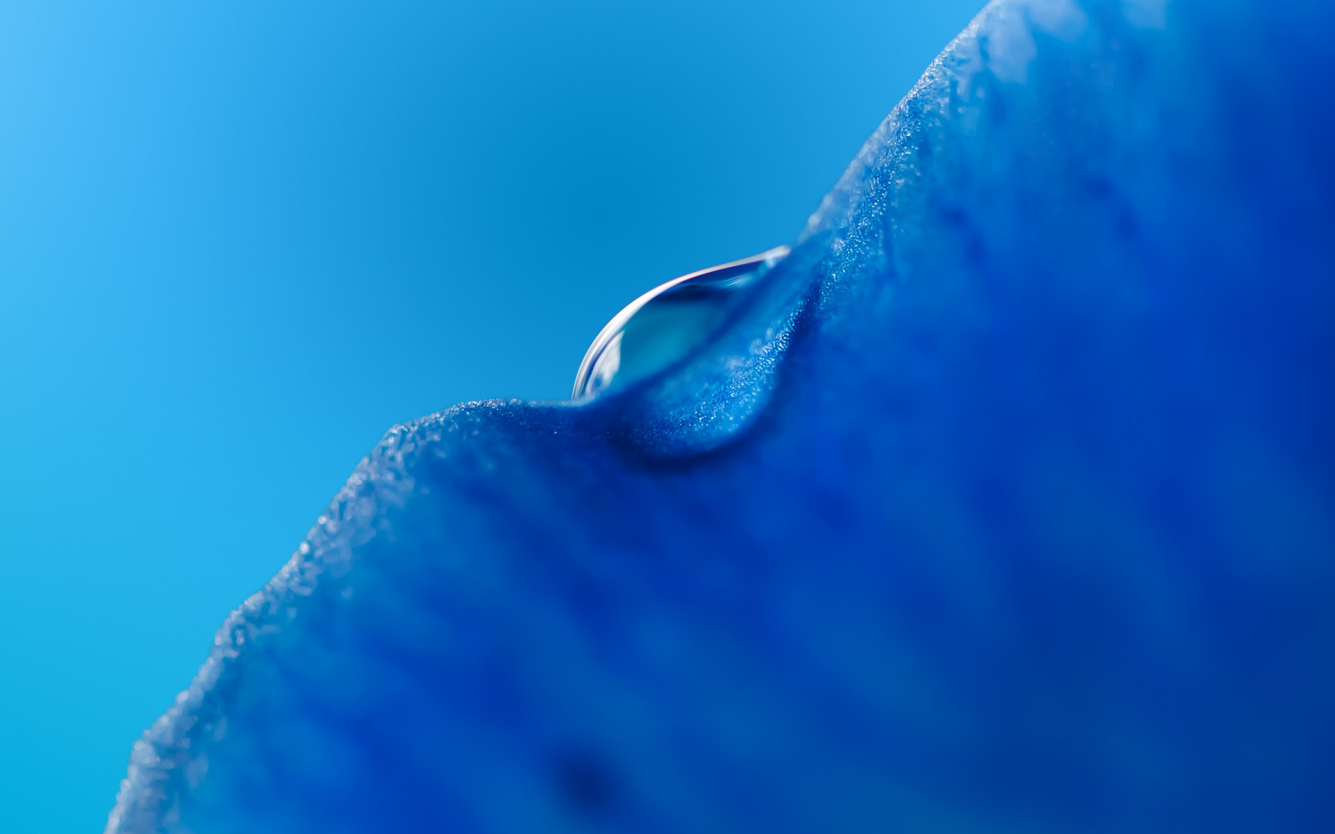 drop, mediapad, устройство
