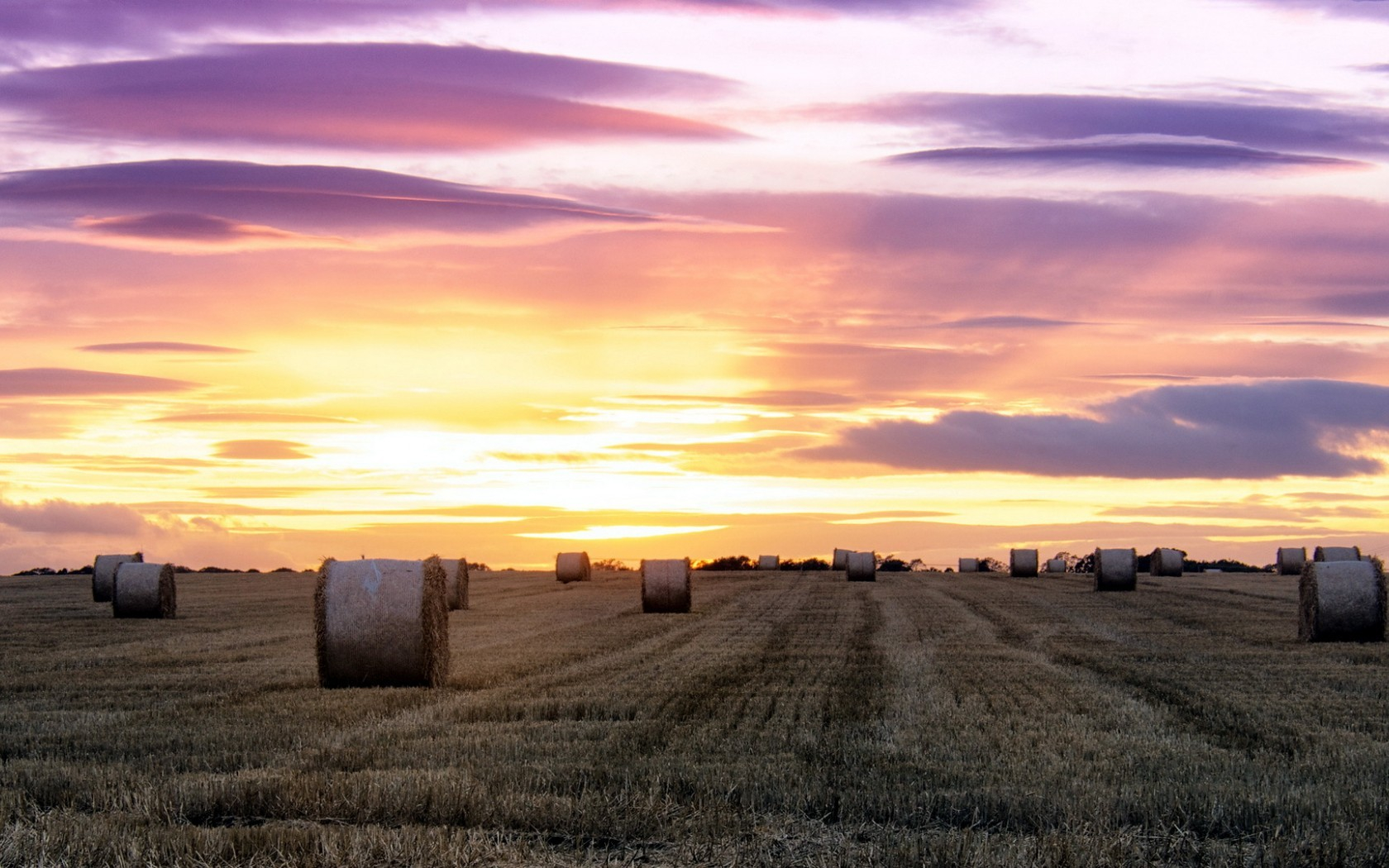 поле, природа, небо