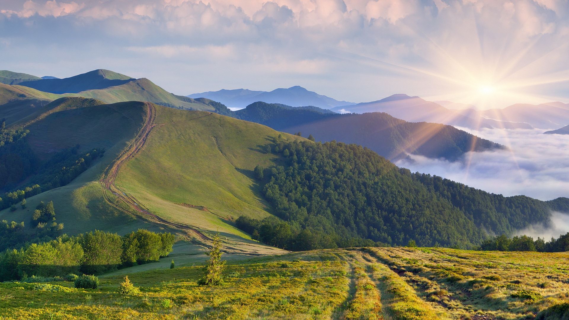 Пейзаж цели. Сопках Маньчжурии природа. Сопки дальнего Востока. Маньчжурия пейзаж сопки. Башкирия холмы.