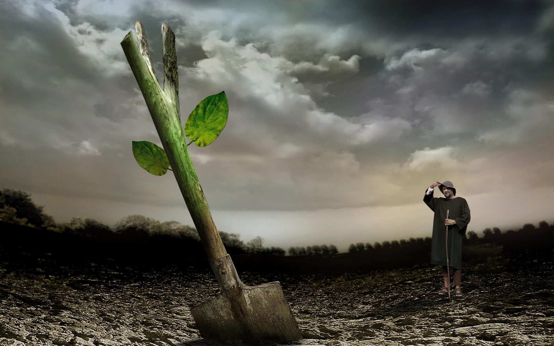 жизнь, рост, сюрприз