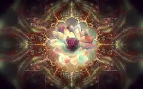 лотос, цветы, ай