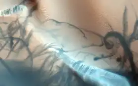 мартиан, фото