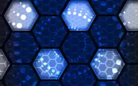 технония, тангория