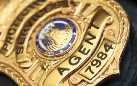 полиция, шишки, эба