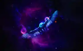 полные, настольные, фото