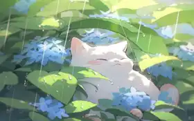 мило, искусство, аниме