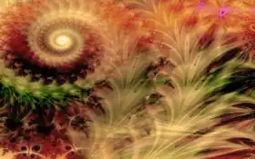 красивый, ребенок, элемент