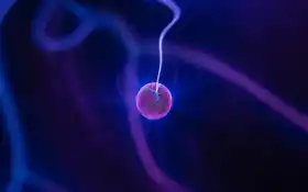 noticia, del, español