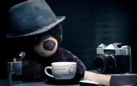 мишка, добавил, метки