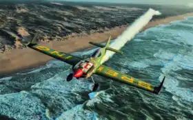 раса, воздух, бык