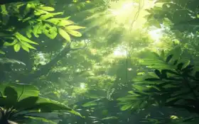 закрытие леса с большим количеством зеленых растений