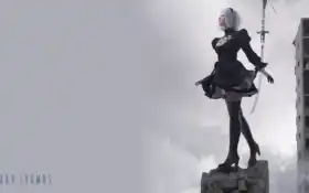 автомат, ny, lyumo