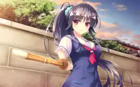 аниме, деревянный