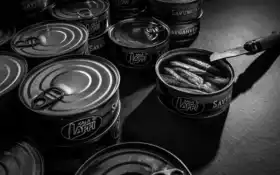 монохром, рыба, медведь