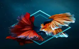 эскалар, багас