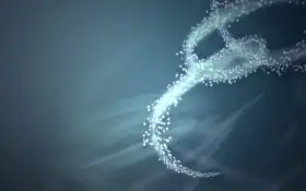 дорога, авто, сфонди