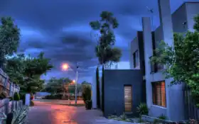 im-gene, late, вечер