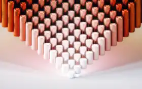 блюстун, боб, дивно